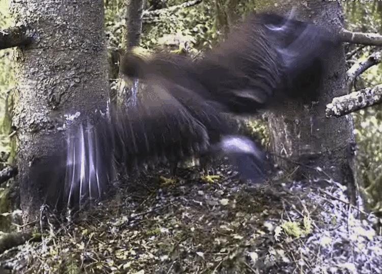 2009-07-22_193630.gif
