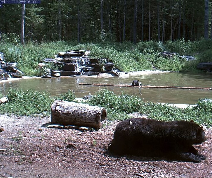 2009-07-22_195342.jpg