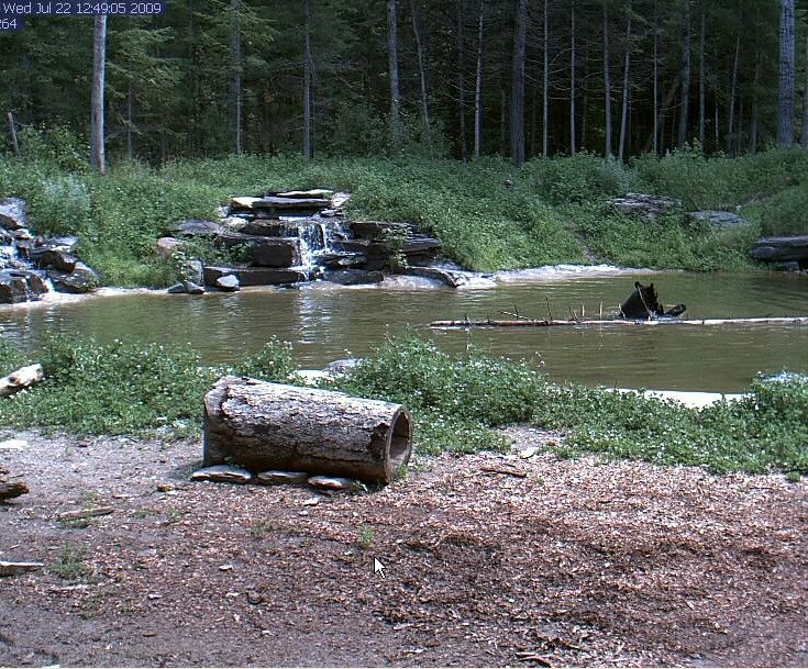 2009-07-22_194712.jpg
