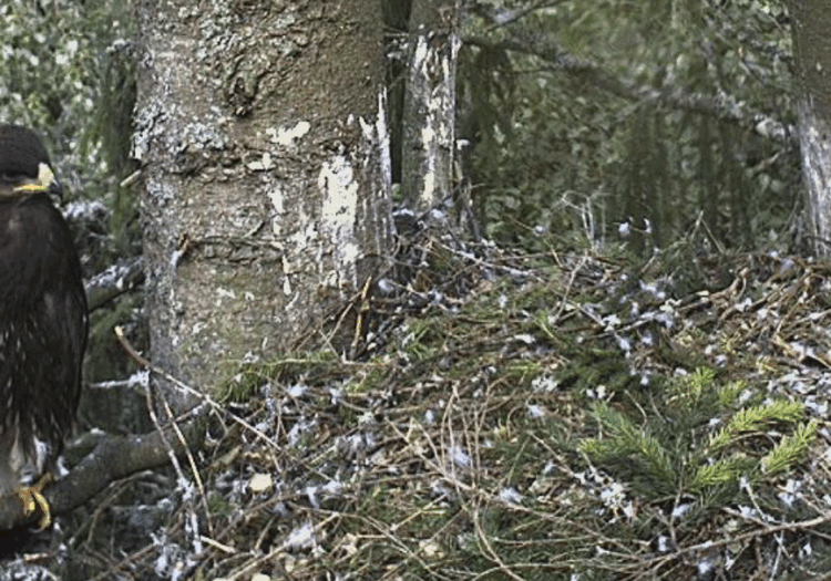 2009-07-25_195257.gif