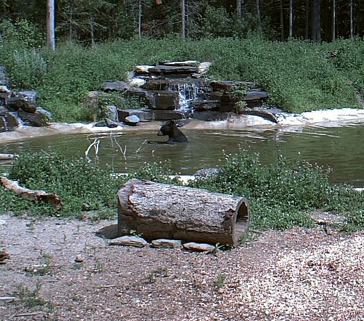 2009-07-27_215611.jpg