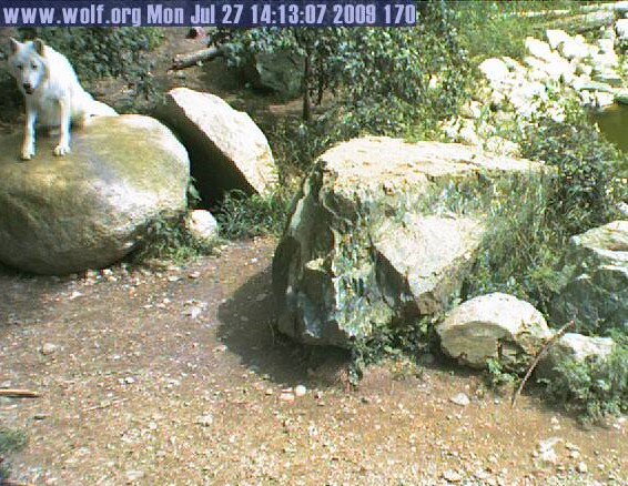 2009-07-27_211135.jpg