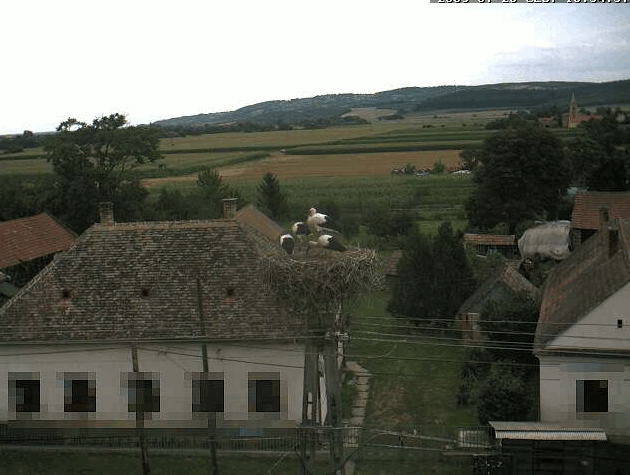2009-07-28_165316.gif