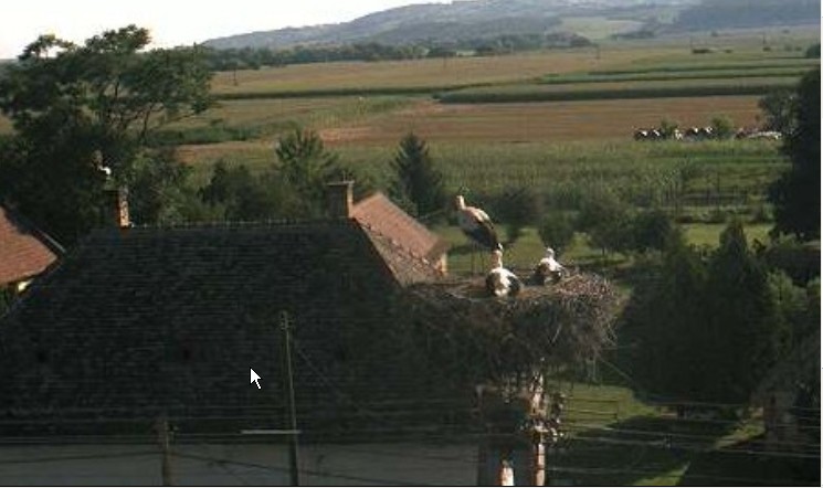 2009-07-29_081202.jpg
