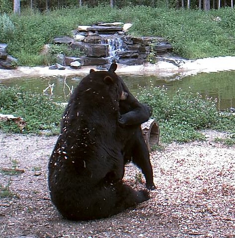2009-07-29_215330.jpg
