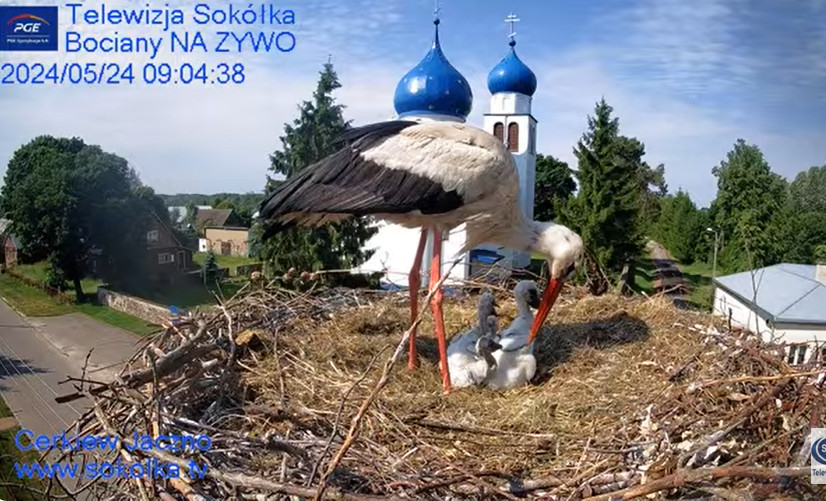 2024-05-24_100841.jpg