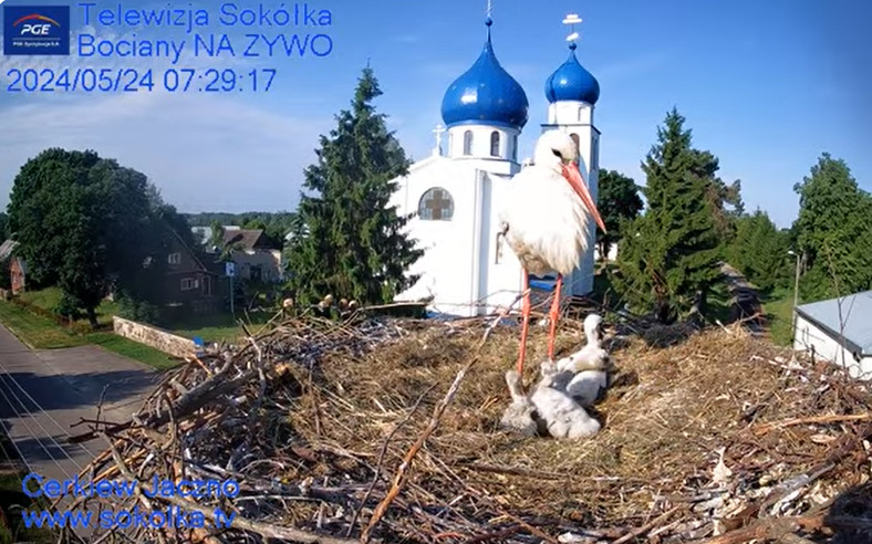 2024-05-24_101041.jpg