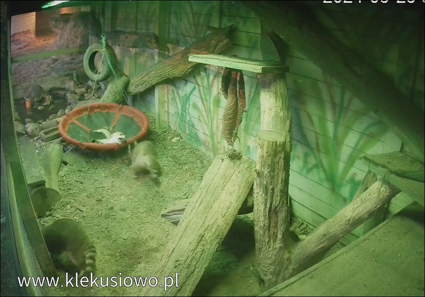 Tomaszow2.jpg