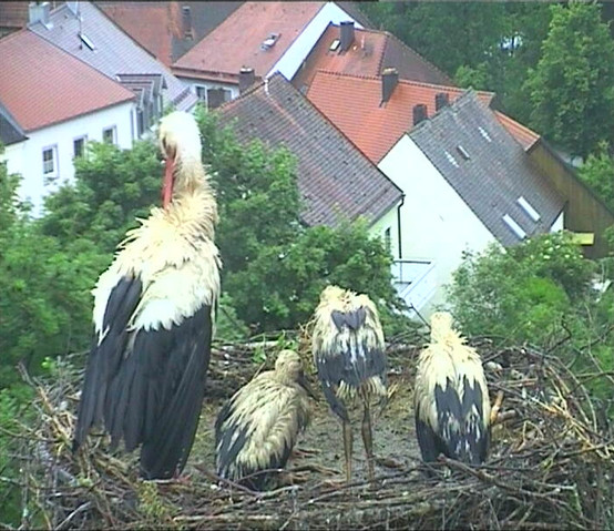 2024-06-01_202735.jpg