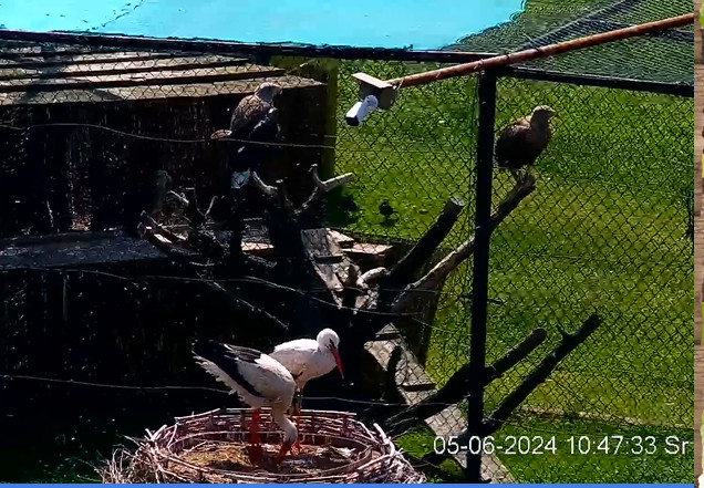 2024-06-05_104803.jpg