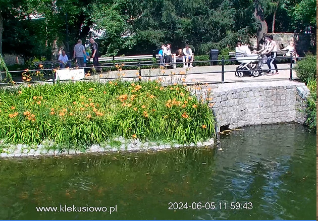 2024-06-05_120013.jpg