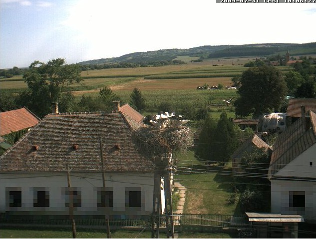 2009-07-31_100433.jpg