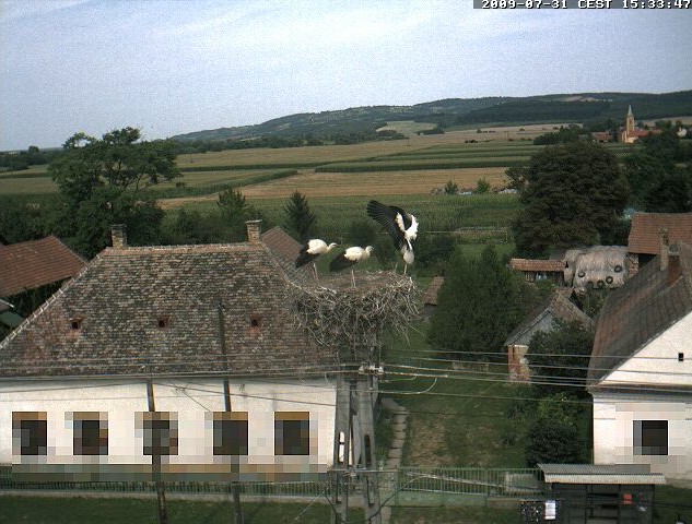 2009-07-31_153153.jpg