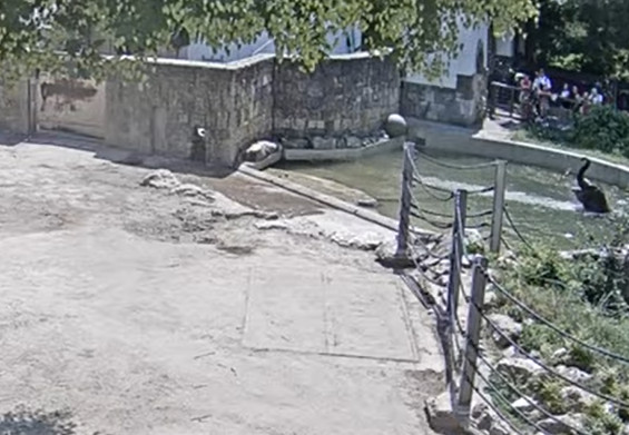 2024-06-29_133121.jpg