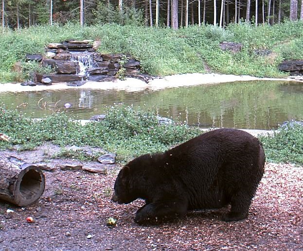 2009-08-01_010923.jpg