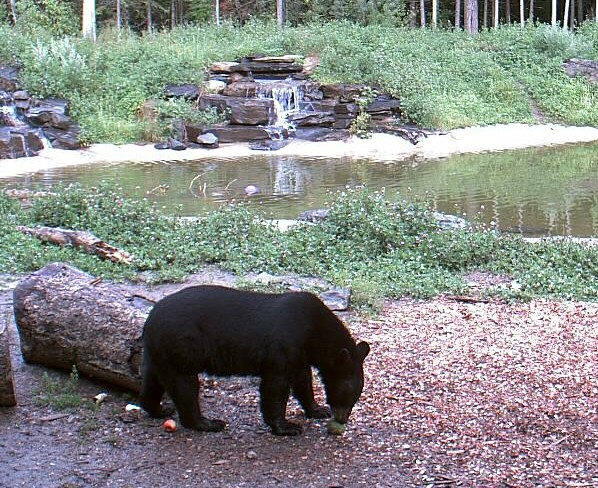 2009-08-01_010428.jpg