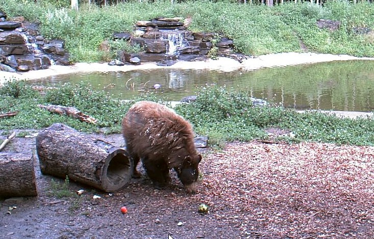 2009-08-01_011323.jpg