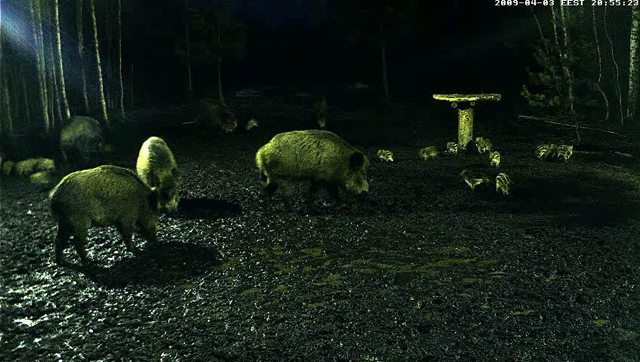 vlcsnap-6227744.png