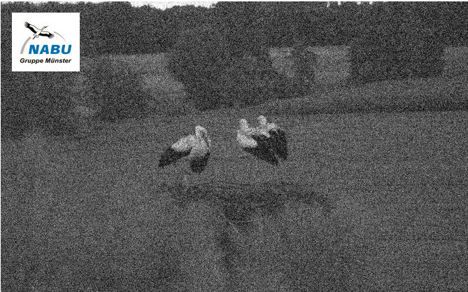 2024-07-23_232238.jpg