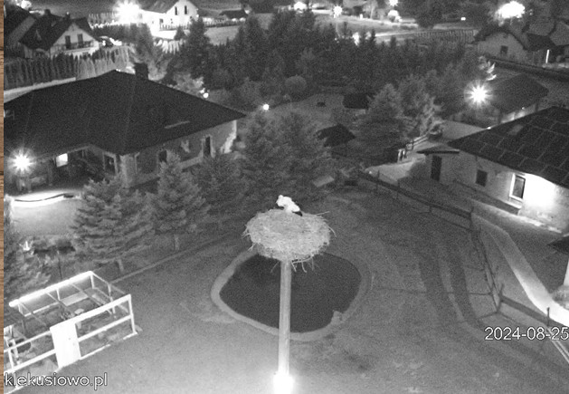 2024-08-25_204708.jpg