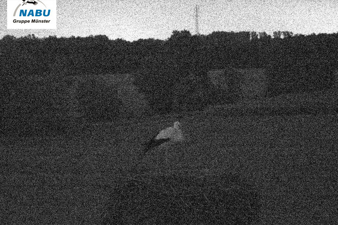 2024-08-30_235105.jpg