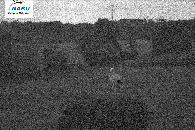 2024-09-04_221300.jpg