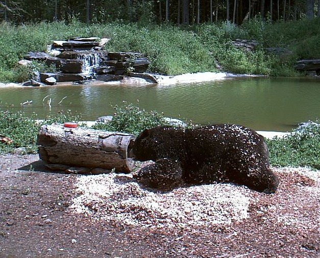 2009-08-01_203015.jpg