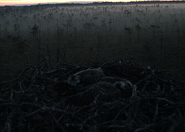 2009-08-01_222918.gif
