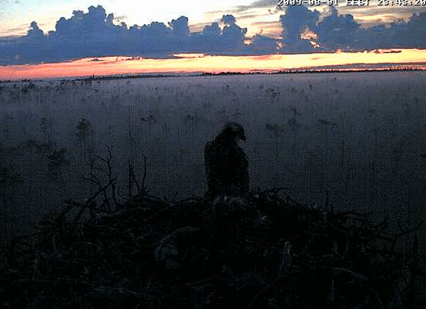2009-08-01_224526.gif