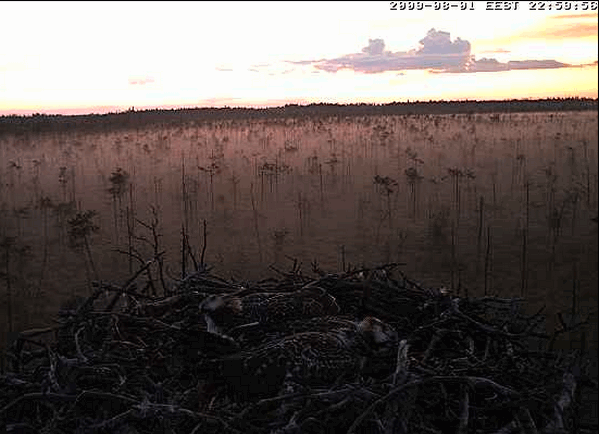 2009-08-01_224903.gif