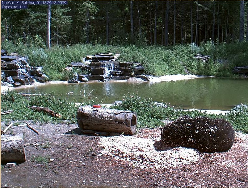 2009-08-01_202708.jpg
