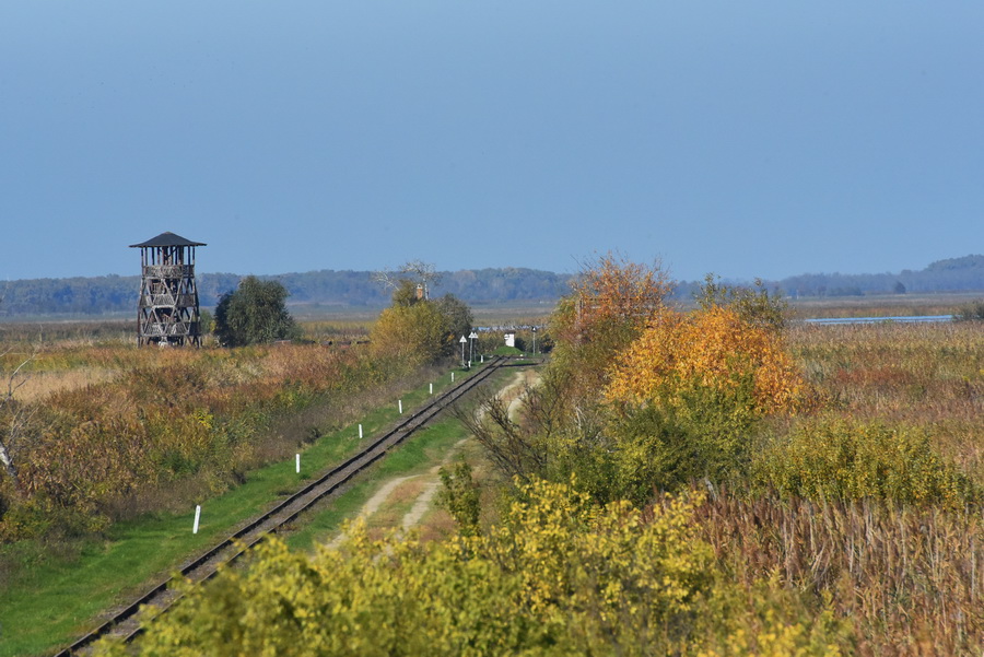 DSC_7787.JPG