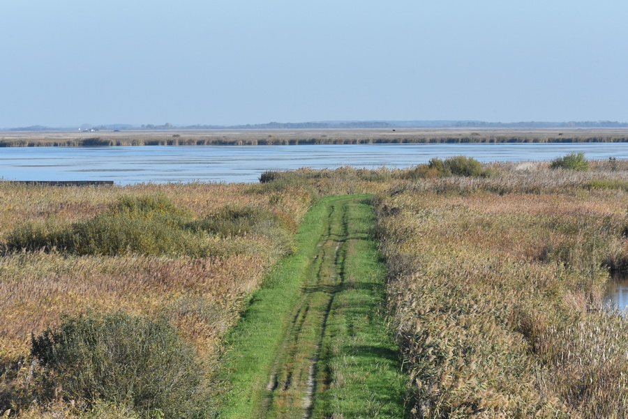 DSC_7814.JPG