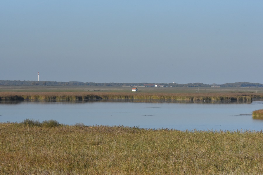 DSC_7819.JPG