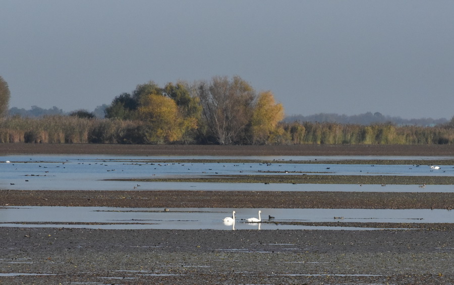 DSC_7824.JPG
