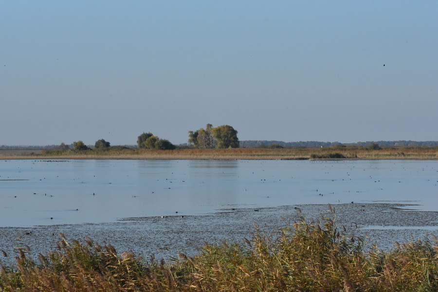 DSC_7840.JPG