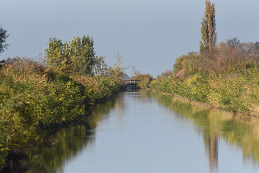 DSC_7846.JPG