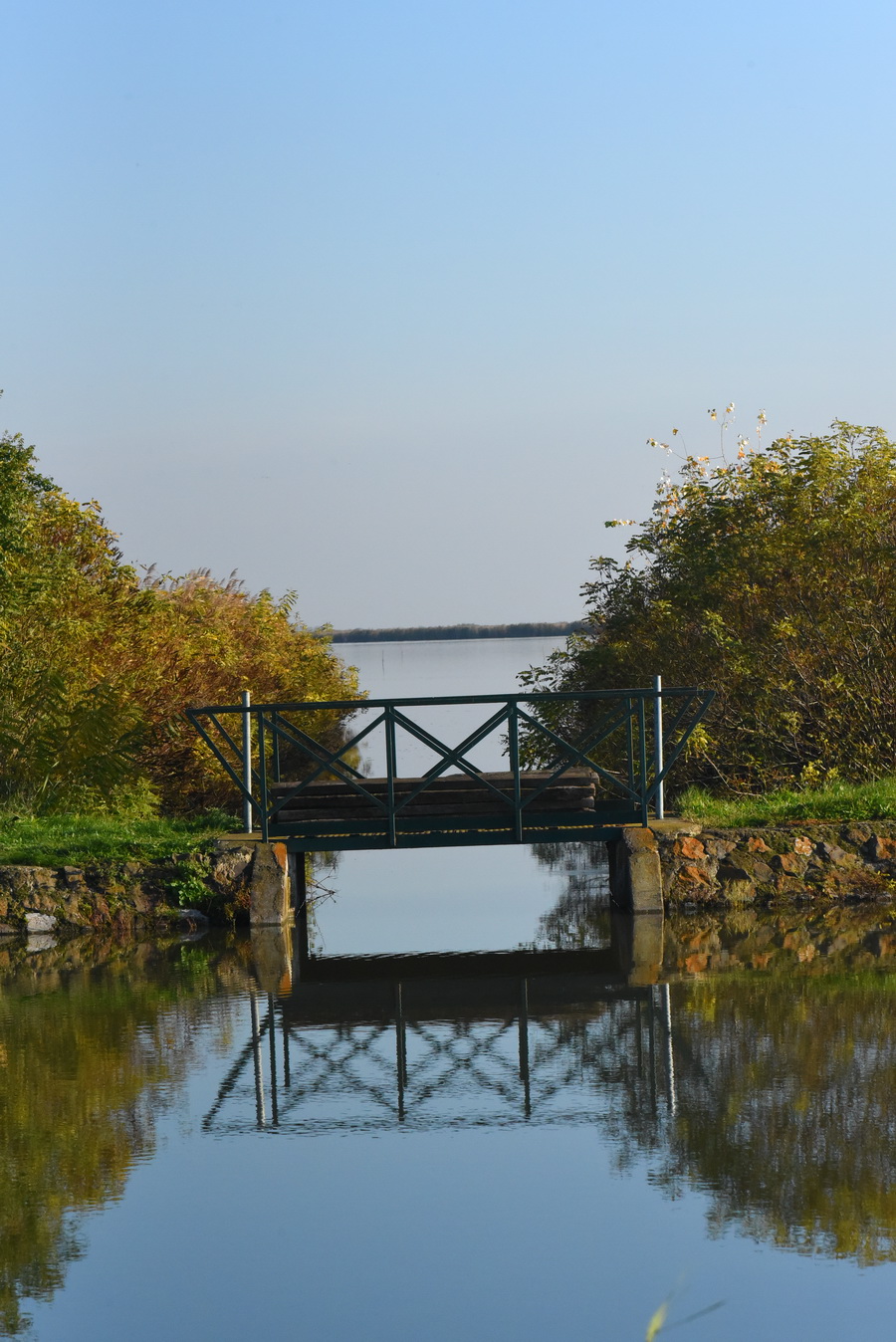 DSC_7848.JPG