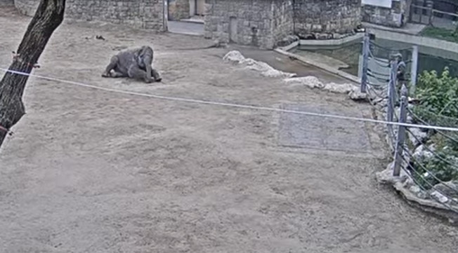 2024-10-26_101221.jpg