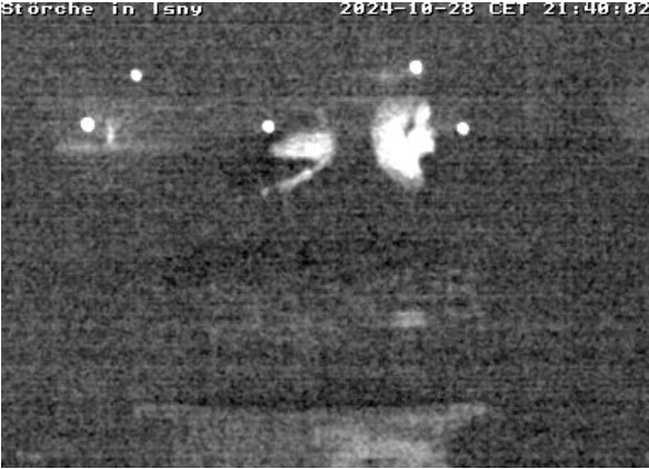 2024-10-28_214425.jpg