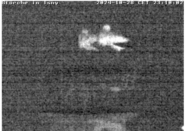 2024-10-28_231014.jpg