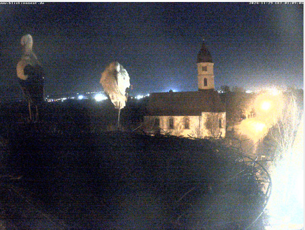 2024-11-29_011003.jpg