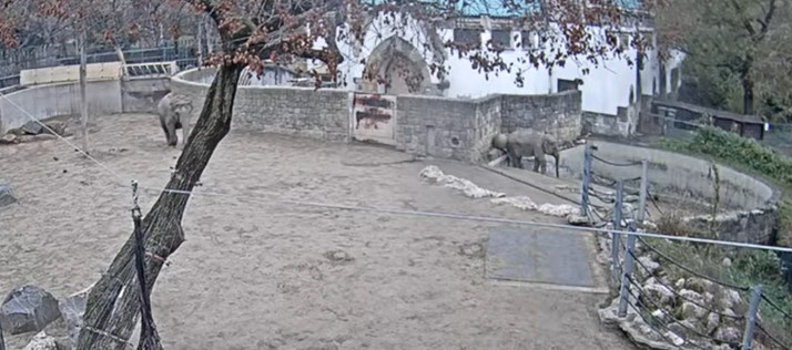 2024-12-05_104503.jpg