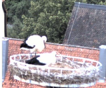 2009-08-03_081224.jpg