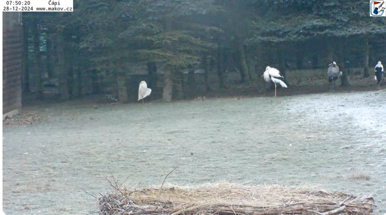 2024-12-28_095600.jpg