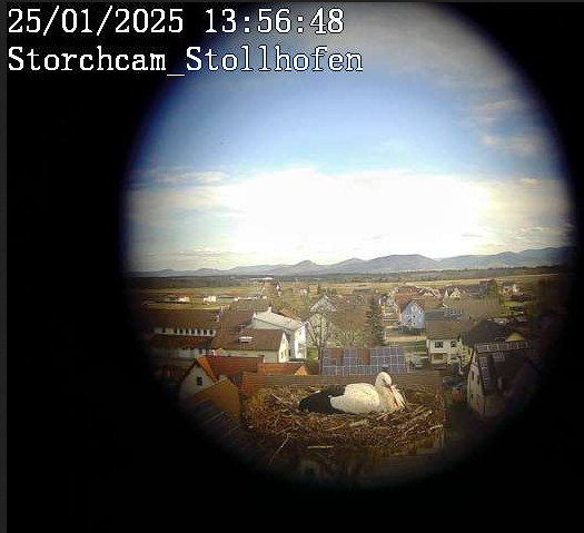 2025-01-25_125656.jpg