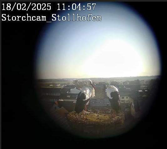 2025-02-18_100506.jpg