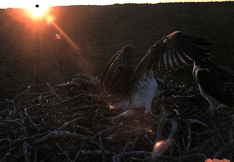 2009-08-04_211209.gif