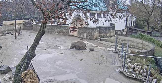 2025-03-15_090045.jpg
