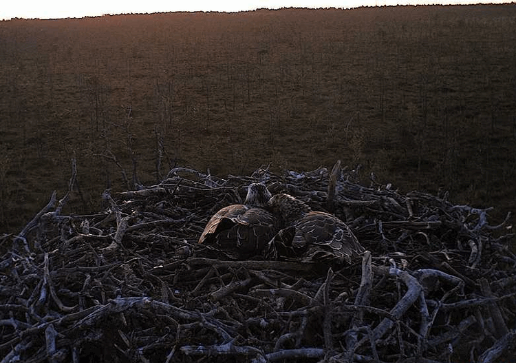 2009-08-05_212043.gif